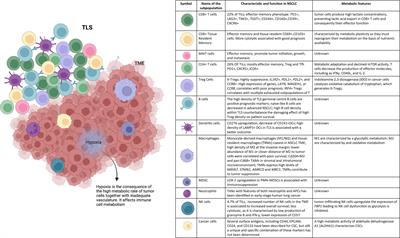 Phenotypic, functional, and metabolic heterogeneity of immune cells infiltrating non–small cell lung cancer